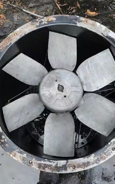 Axial Fan after clean